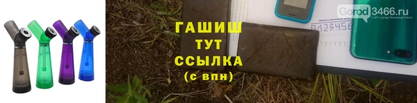 индика Заводоуковск